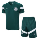 Conjunto de Treino Palmeiras - Verde